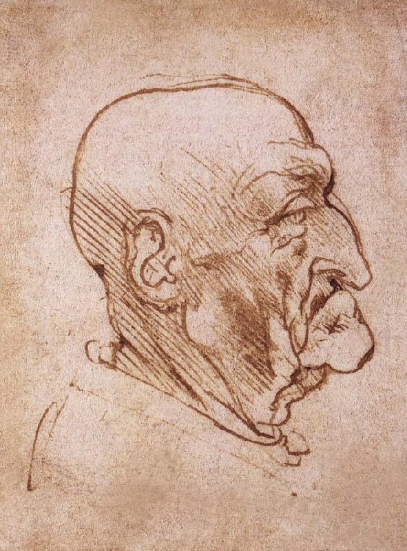 Profile of an old man, LEONARDO da Vinci